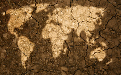 The Scarcity of Water
