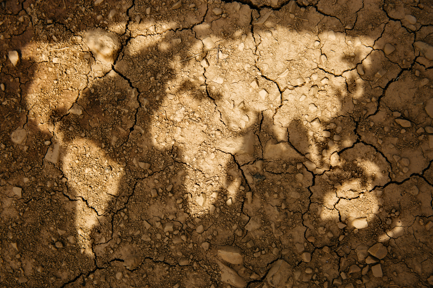 Faire Face à la Rareté de L’Eau