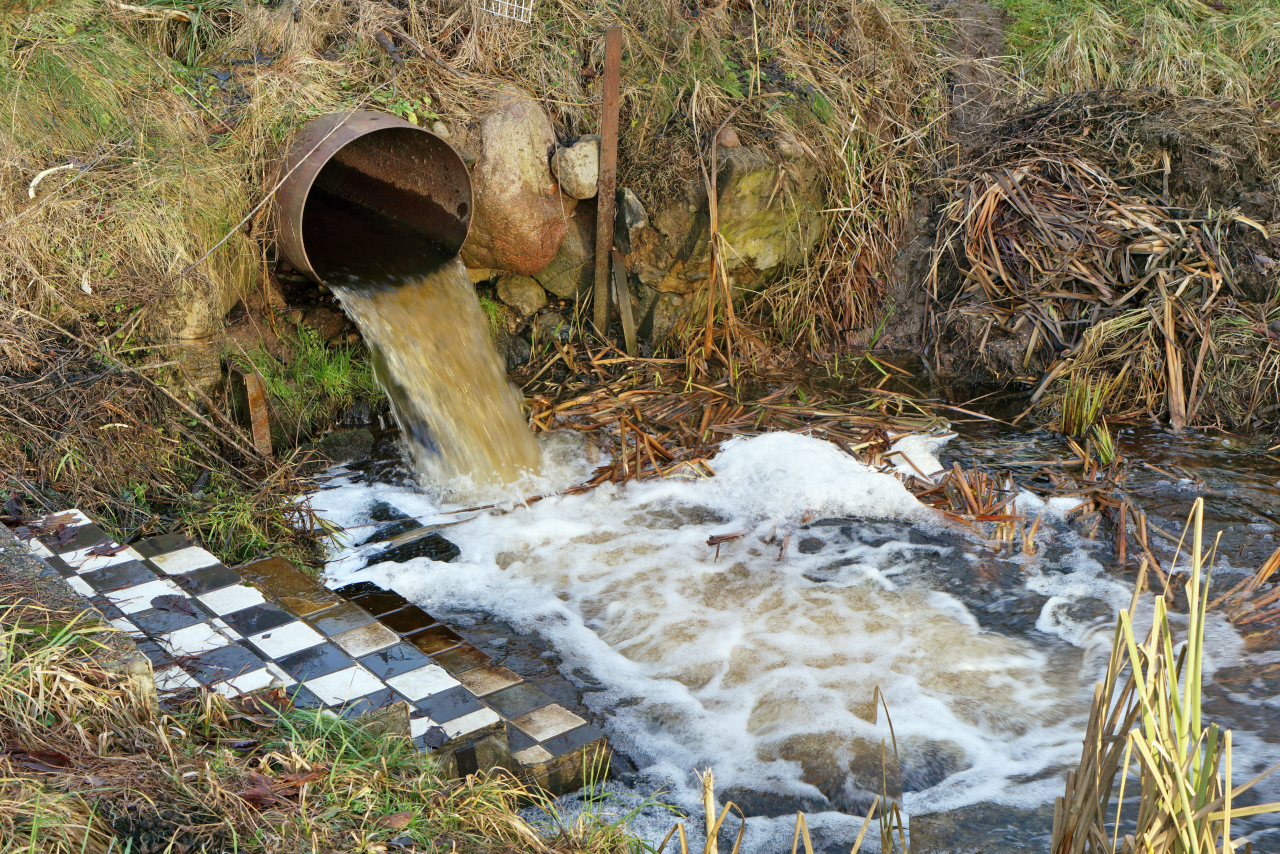 Dirty waste water merges into a clean forest stream